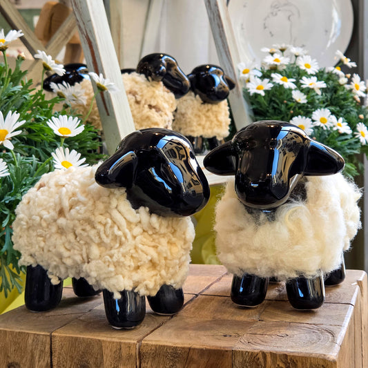 Pecorella di Civita in ceramica e lana