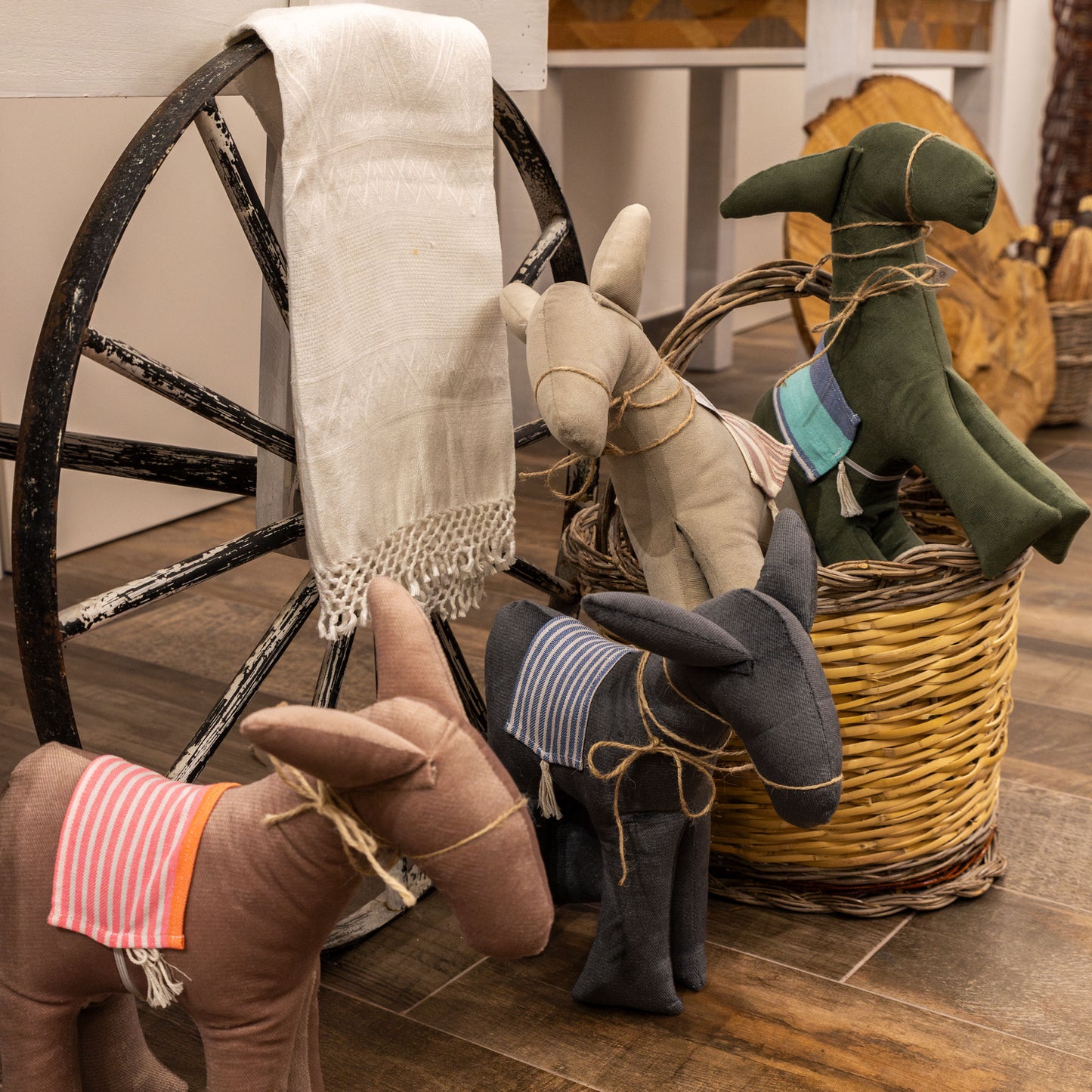 Asinello di Civita in stoffa junior